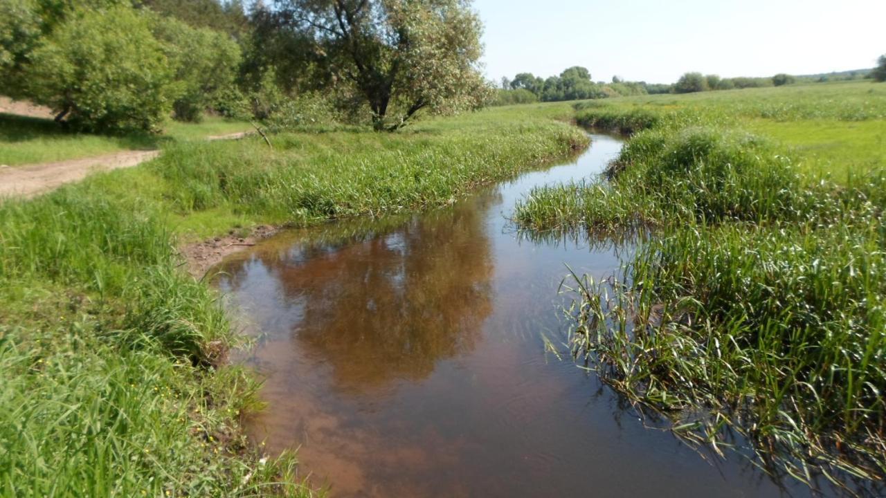 Agrousad'Ba Okolitsa Hotel Shchibri Zewnętrze zdjęcie